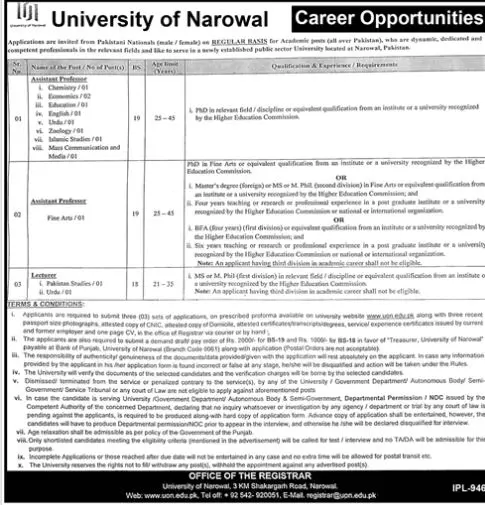 University of Narowal Punjab Jobs 2023 Jobs 2023 — original advertisement