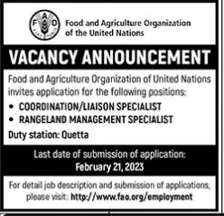 Food and Agriculture Organization Jobs 2023 – Food and Agriculture Organization FAO Jobs 2023 — original advertisement