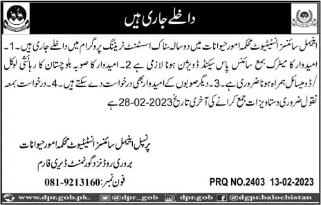 Animal Sciences Institute Quetta Admissions 2023 – Livestock and Dairy Development Department Balochistan Admissions 2023 — original advertisement