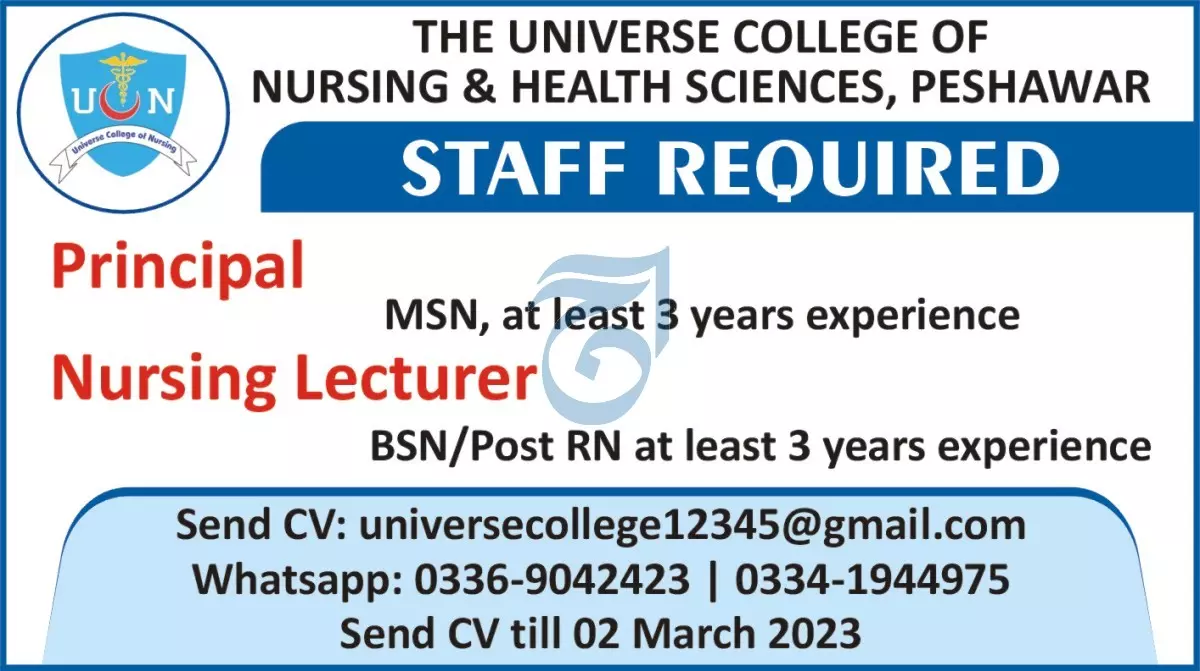 The Universe College of Nursing & Health Science Jobs 2023 Jobs 2023 — original advertisement