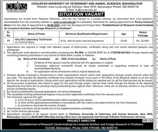Cholistan University of Veterinary and Animal Sciences Jobs – Cholistan University of Veterinary and Animal Sciences Bahawalpur Jobs 2023 — original advertisement