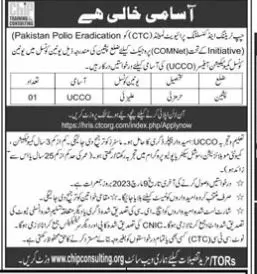 Chip Training & Consulting Pvt Ltd Jobs 2023 – Chip Training Consulting Pvt Ltd Jobs 2023 — original advertisement