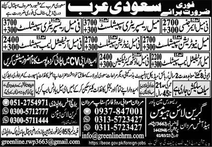 Medical Staff Jobs in Saudi Arabia Hospital 2023 – Green Line Human Resource Manpower Jobs 2023 — original advertisement