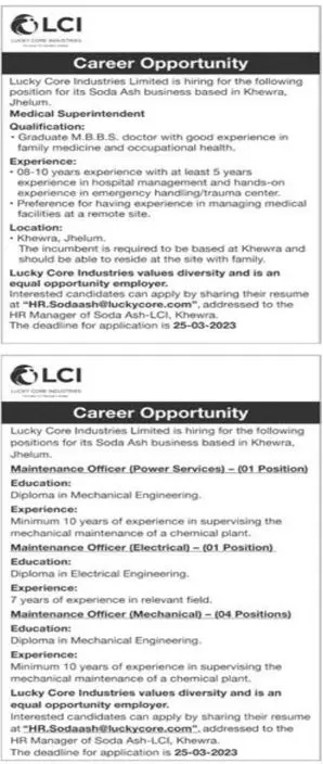 Lucky Core Industries Limited Jobs 2023 – Private Company Jobs 2023 — original advertisement