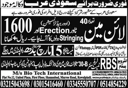 Lineman Jobs in Saudi Arabia 2023 – Bio Tech International Overseas Promoter Jobs 2023 — original advertisement