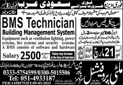 BMS Technician Jobs in Saudi Arabia 2023 – Multiprofessional Manpower Services Jobs 2023 — original advertisement