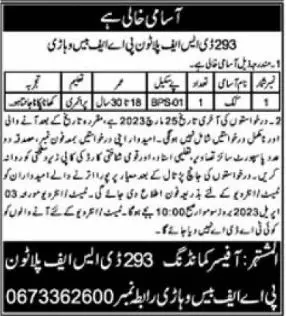293 DSF Platoon PAF Base Vehari Jobs 2023 – Pakistan Air Force Jobs 2023 — original advertisement