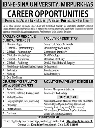 Ibn e Sina University Mir pur Khas Jobs 2023 Jobs 2023 — original advertisement