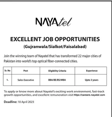 Nayatel Private Limited Jobs 2023 Jobs 2023 — original advertisement