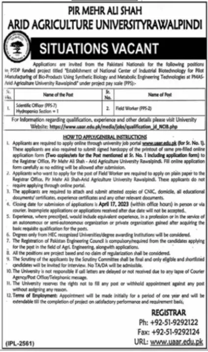 Pir Mehr Ali Shah Arid Agriculture University Jobs 2023 – Pir Mehr Ali Shah Arid Agriculture University Rawalpinid Jobs 2023 — original advertisement