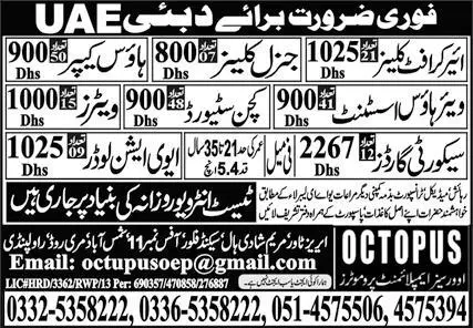 House Keeper & Aviation Loader Jobs 2023 in Dubai – OCTOPUS Overseas Employment Promoters Jobs 2023 — original advertisement