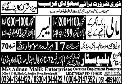 Mali and Labor Jobs 2023 in Saudi Arabia KSA – Blue Star Techni Test & Training Center Jobs 2023 — original advertisement