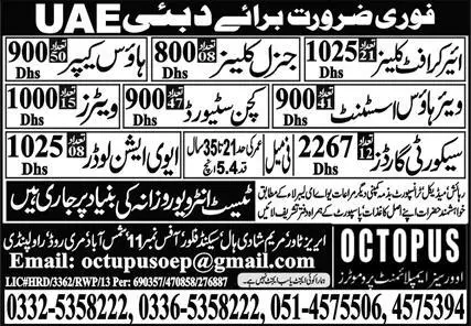 Warehouse Assistant & Aviation Loader Jobs 2023 In Dubai – OCTOPUS Overseas Employment Promoters Jobs 2023 — original advertisement