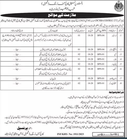 College Of Nursing SBA Nawabshah Jobs 2023 Jobs 2023 — original advertisement