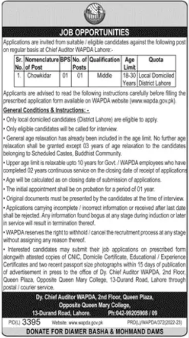 Water And Power Development Authority Wapda Jobs 2023 Jobs 2023 — original advertisement