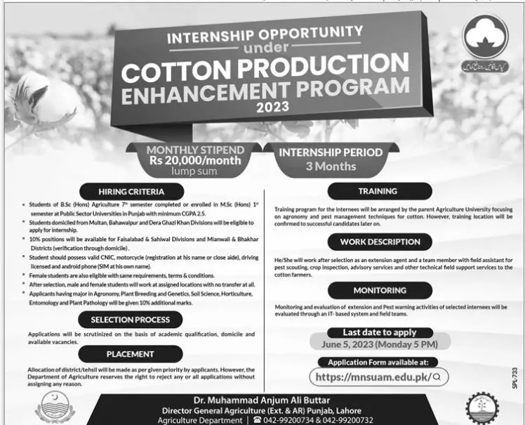 Internship Opportunity Cotton Production Enhancement 2023 – Agriculture Department Punjab Jobs 2023 — original advertisement