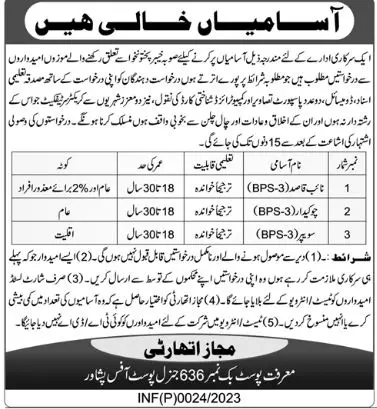 Public Sector Organization Peshawar Jobs 2023 Jobs 2023 — original advertisement
