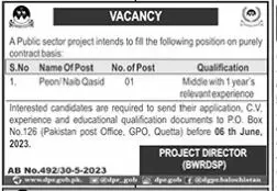 Public Sector Project Quetta Balochistan Jobs 2023 – Public Sector Organization Jobs 2023 — original advertisement