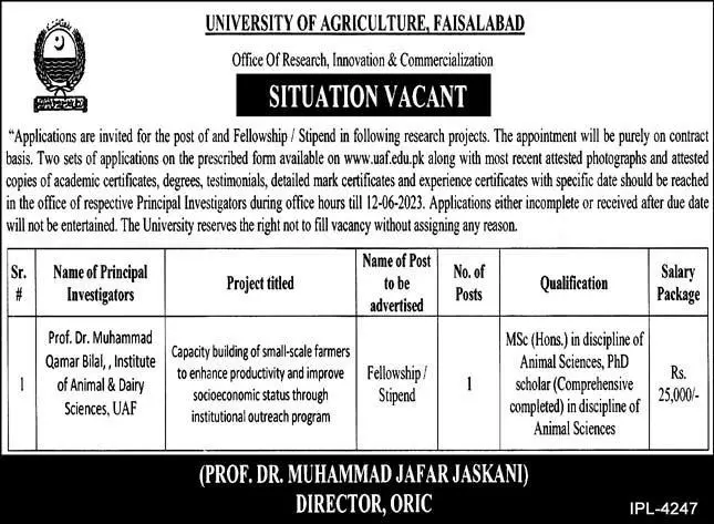 University of Agriculture UAF Faisalabad Jobs 2023 – University of Agriculture Faisalabad Scholarships 2023 — original advertisement