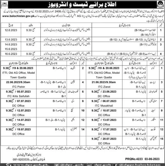 Directorate General Information Technology Test Interview Jobs 2023 — original advertisement