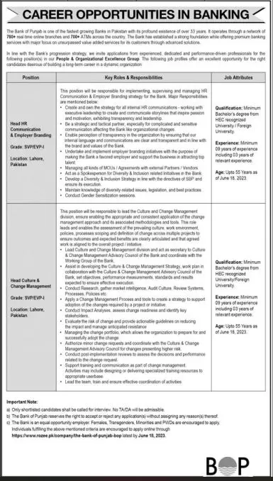 The Bank Of Punjab BOP Lahore Jobs 2023 Jobs 2023 — original advertisement