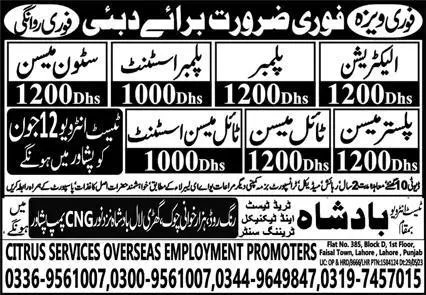 Electrician And Plaster Mason Jobs In Dubai 2023 – Citrus Services Overseas Jobs 2023 — original advertisement