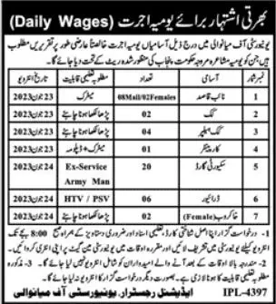 University of Mianwali punjab Jobs 2023 Jobs 2023 — original advertisement