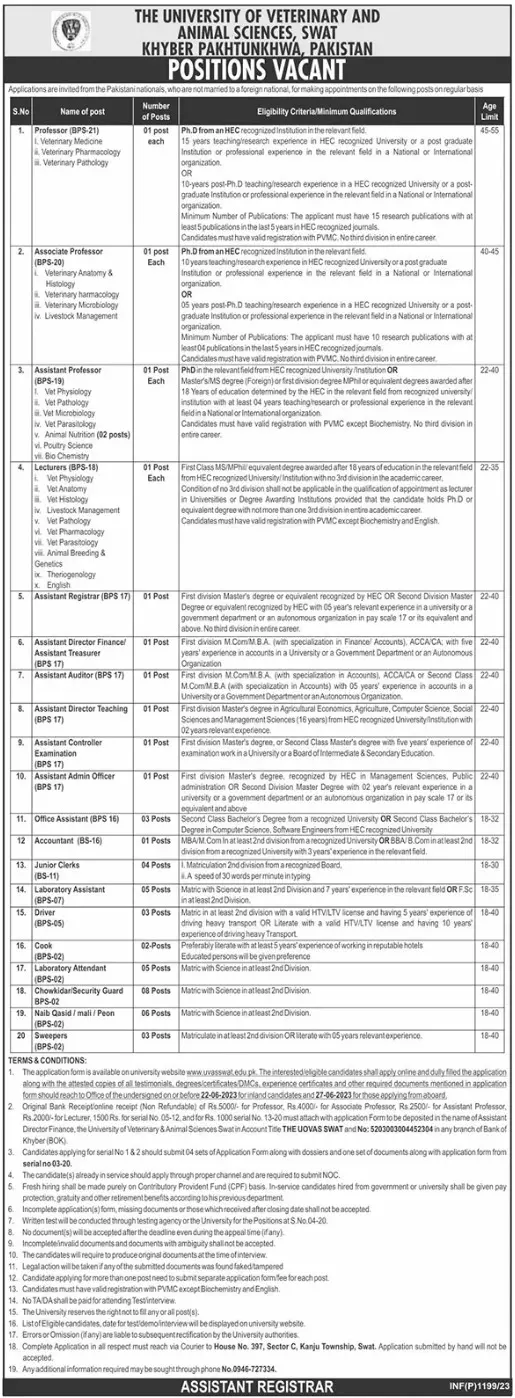 University Of Veterinary And Animal Sciences Swat Jobs 2023 Jobs 2023 — original advertisement