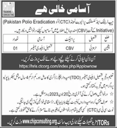 Chip Traning Consulting CTC Pishin Jobs 2023 – Chip Training Consulting Pvt Ltd Jobs 2023 — original advertisement