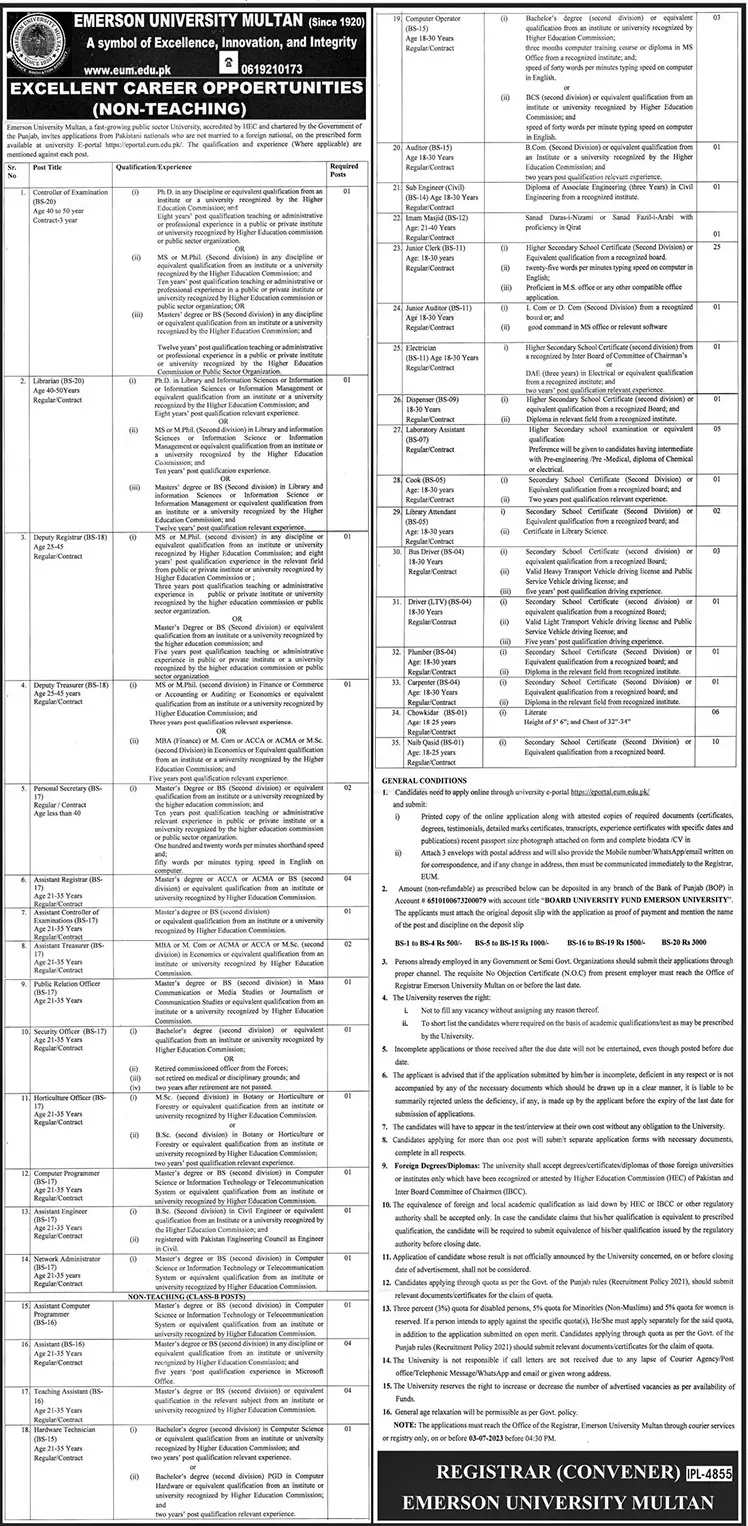 Emerson University Multan Punjab Jobs 2023 Jobs 2023 — original advertisement