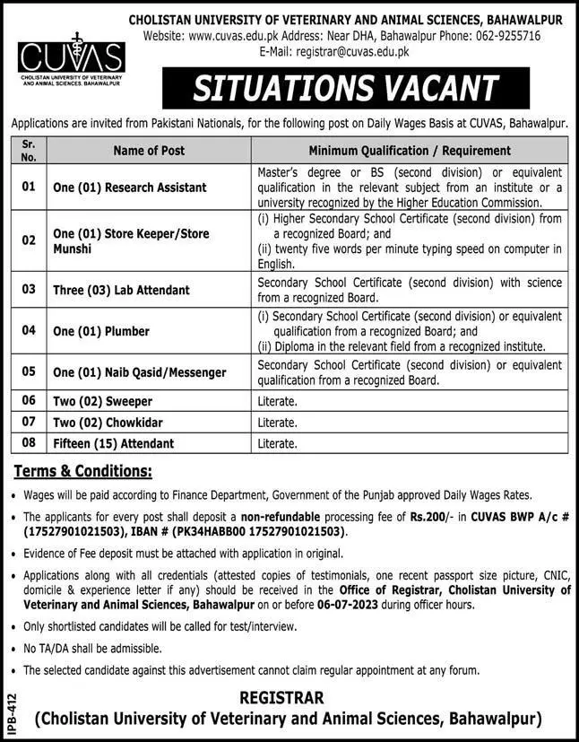 Cholistan University of Veterinary and Animal Sciences Jobs – Cholistan University of Veterinary and Animal Sciences Bahawalpur Jobs 2023 — original advertisement