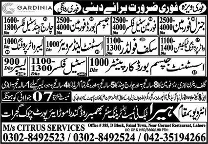 Gypsum Board Foreman & Assistant Land Surveyor Jobs 2023 – Heera Tech Ni Test & Training Center Human Resource Jobs 2023 — original advertisement