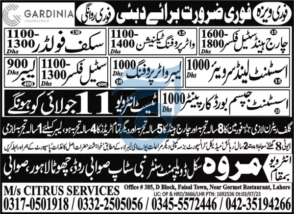 Charge Hand Steel Fixer And Labor Jobs In Dubai 2023 – MS Citrus Services Jobs 2023 — original advertisement