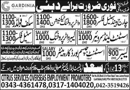 Labor And Steel Fixer Jobs 2023 In Dubai – Citrus Services Overseas Jobs 2023 — original advertisement