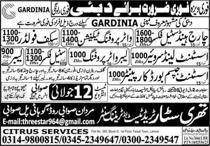 Steel Fixer And Labor Jobs 2023 In Dubai – Three Star Trade Test & Training Centre Jobs 2023 — original advertisement
