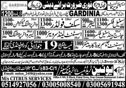 Assistant Gypsum Board Carpenter & Scaffolder Jobs 2023 – Citrus Services Overseas Jobs 2023 — original advertisement