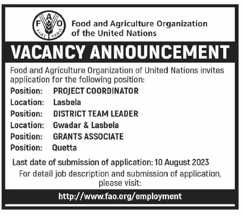 Food and Agriculture Organzation FAO Jobs 2023 – Food and Agriculture Organization FAO Jobs 2023 — original advertisement