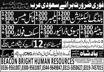 Scaffolder & Painter Jobs 2023 In Saudi Arabia – BTTC Badshah Overseas Employment Promoters Jobs 2023 — original advertisement