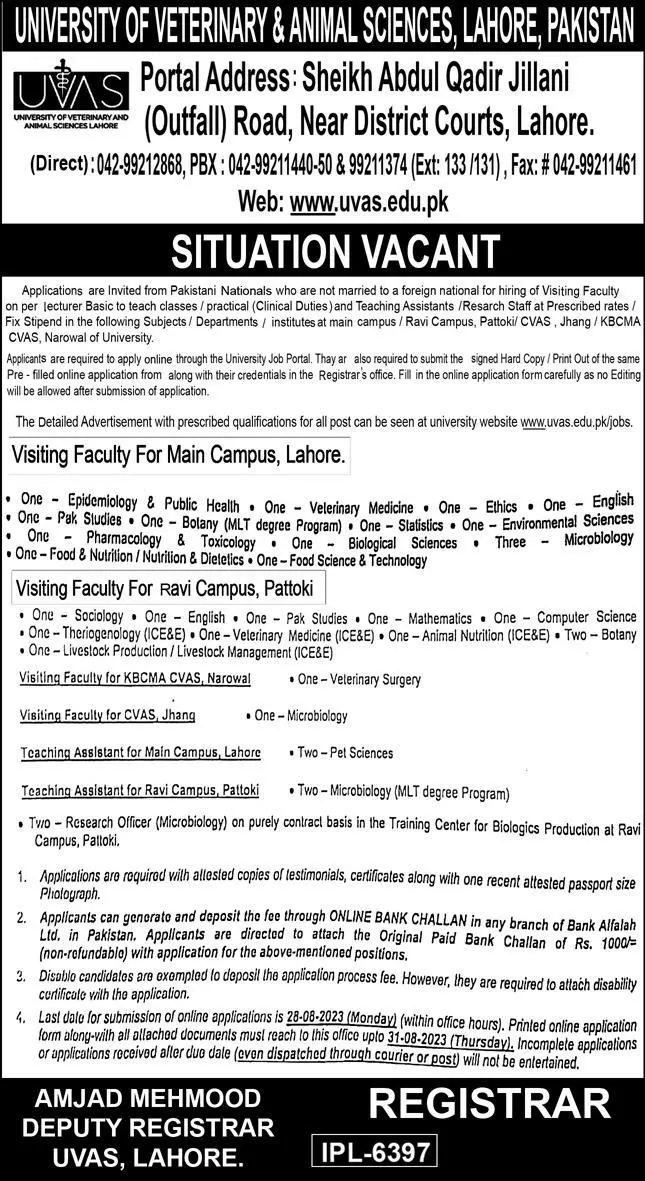 University Of Veterinary And Animal Sciences UVAS Jobs 2023 – University of Veterinary and Animal Sciences Lahore Jobs 2023 — original advertisement