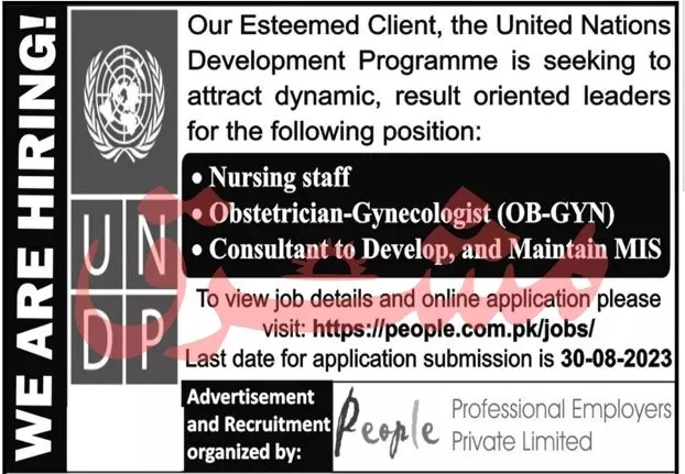 United Nations Development Programme UNDP Peshawar Jobs 2023 – United Nations Development Programme UNDP Pakistan Jobs 2023 — original advertisement