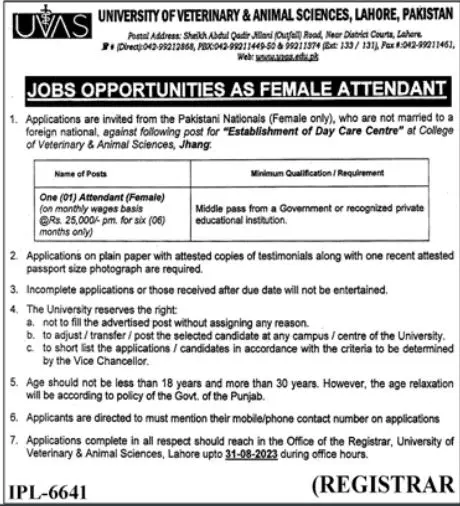 University Of Veterinary And Animal Sciences UVAS Jobs 2023 – University of Veterinary and Animal Sciences Lahore Jobs 2023 — original advertisement