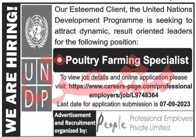 United Nations Development Programme UNDP Islamabad Jobs – United Nations Development Programme UNDP Pakistan Jobs 2023 — original advertisement