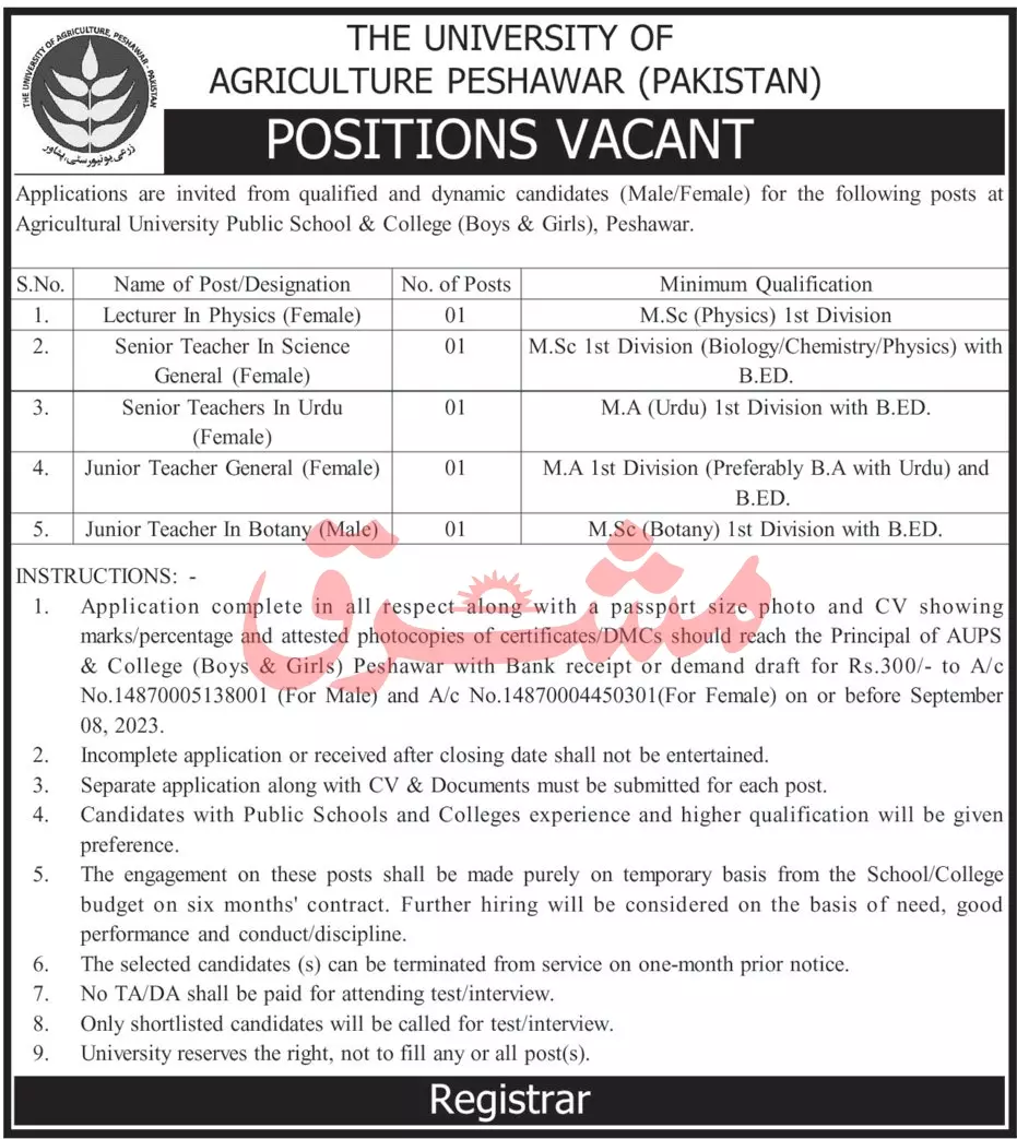 University of Agriculture Peshawar Jobs 2023 – University of Agriculture, Peshawar Jobs 2023 — original advertisement