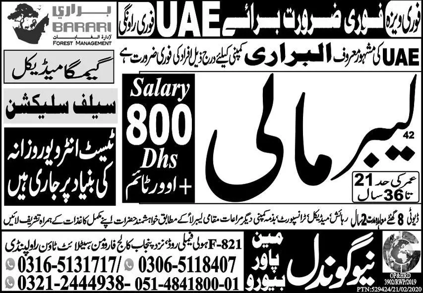 Labor & Mali Jobs 2023 in UAE – New Gondal Manpower Bureau Jobs 2023 — original advertisement