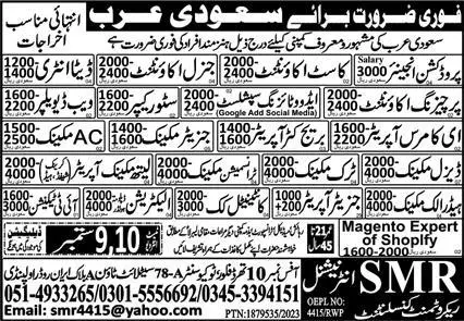 Data Entry Developer & Advirtising Specialist Jobs 2023 – SMR International Recruiting Consultant Jobs 2023 — original advertisement