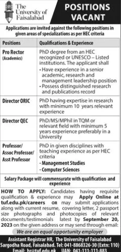 The University Of Faisalabad TUF Jobs 2023 Jobs 2023 — original advertisement