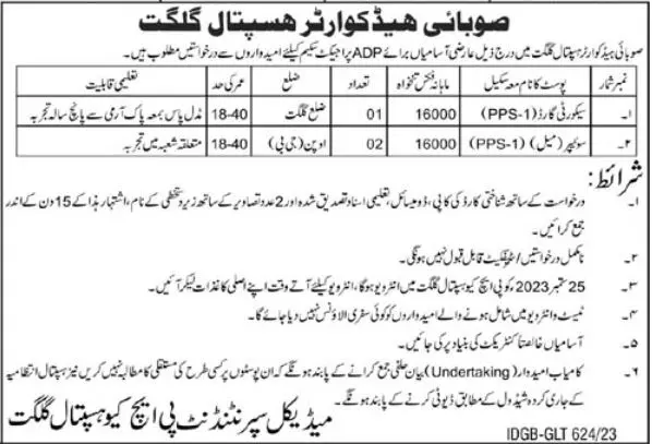 Provincial Headquarter Hospital phq Gilgit Jobs 2023 Jobs 2023 — original advertisement