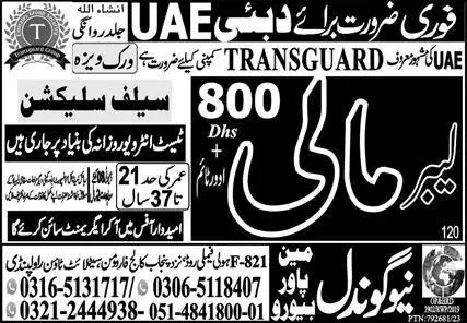 Mali & Labor Jobs 2023 In UAE – New Gondal Manpower Bureau Jobs 2023 — original advertisement