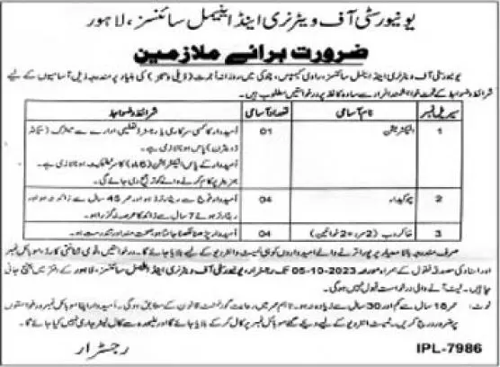 University Of Veterinary & Animal Sciences UVAS Jobs 2023 – University of Veterinary and Animal Sciences Lahore Jobs 2023 — original advertisement