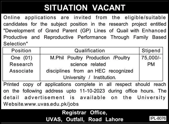 University Of Veterinary & Animal Sciences UVAS Jobs 2023 – University of Veterinary and Animal Sciences Lahore Jobs 2023 — original advertisement
